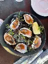 Ostras Microgreens Culantro Costa Rica.webp