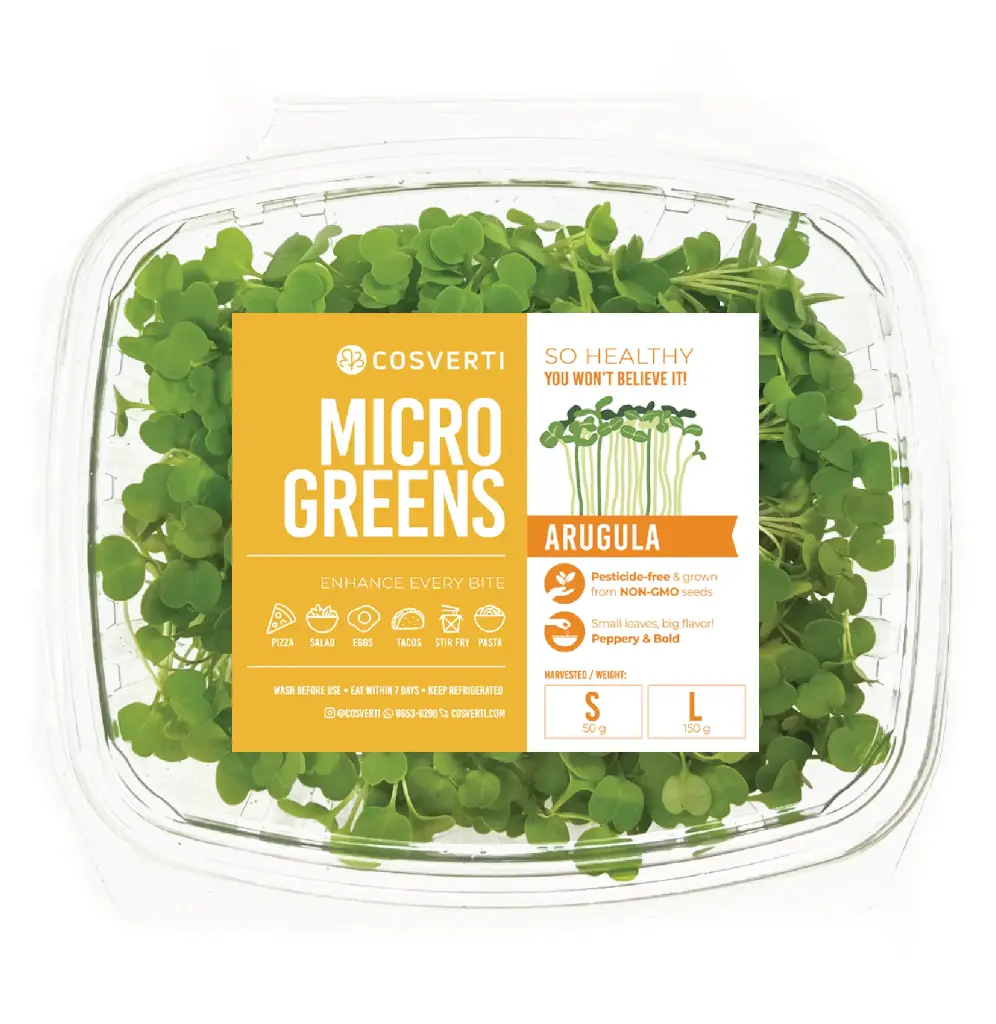 Cilantro Microgreens