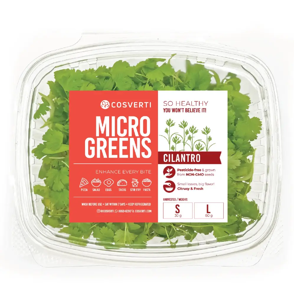 Cilantro Microgreens