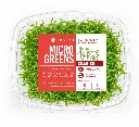 Microgreens de cilantro