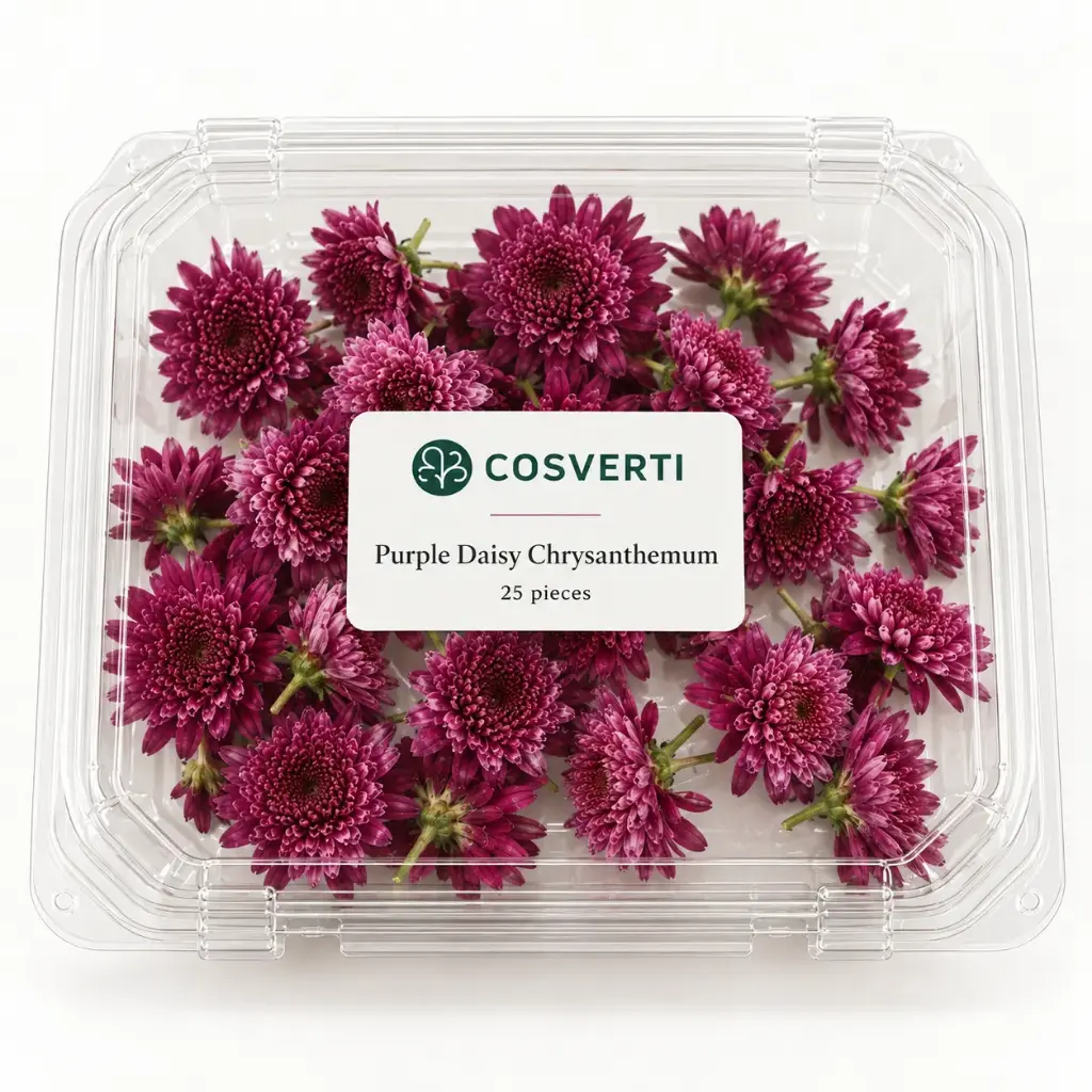 Purple Daisy Chrysanthemum