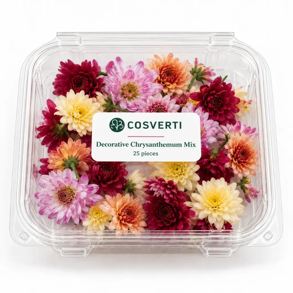Decorative Chrysanthemum Mix
