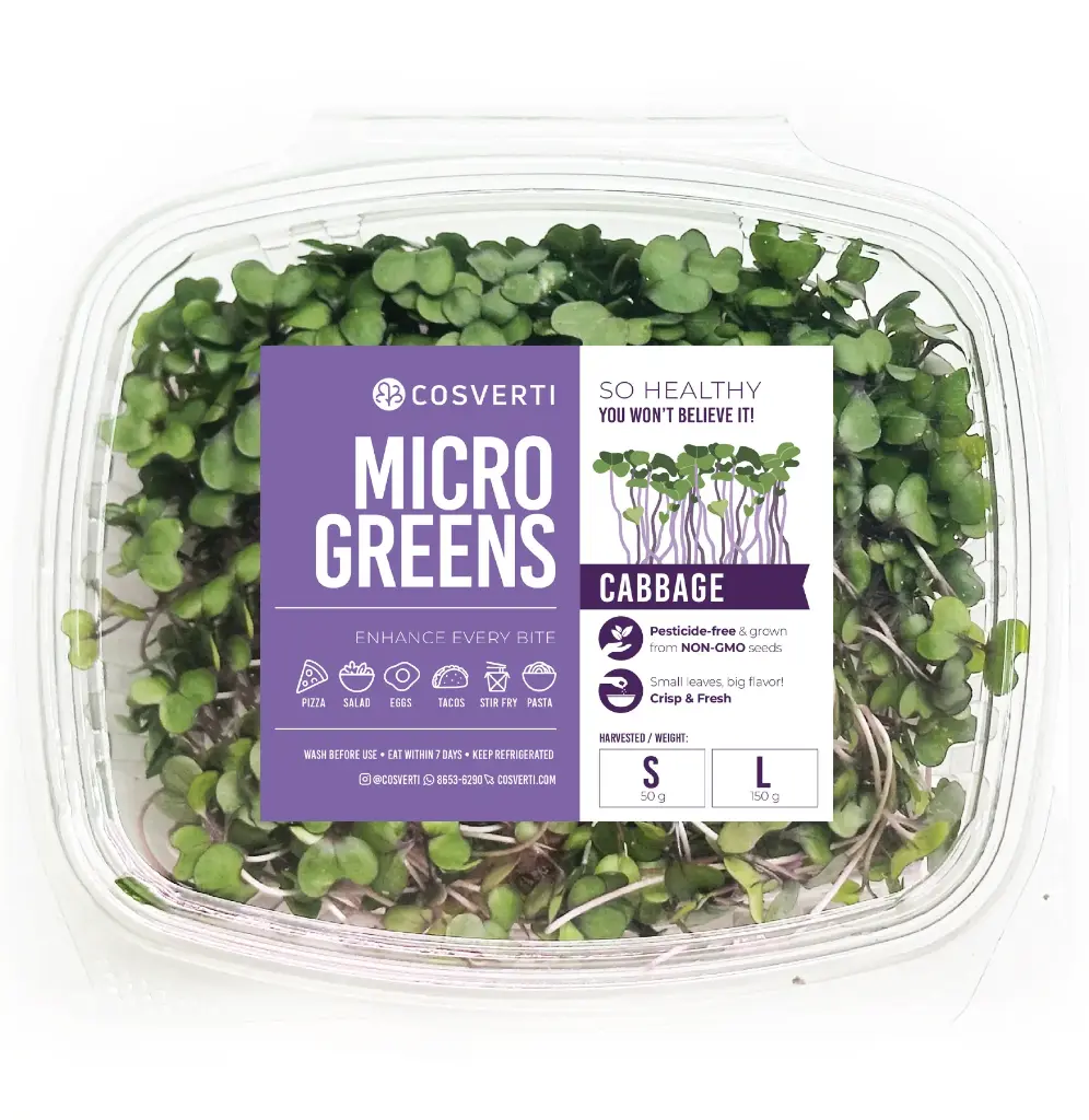 Cabbage Microgreens