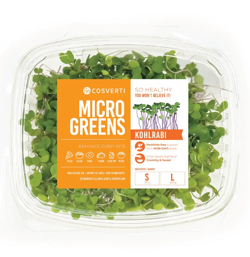 Kohlrabi Microgreens
