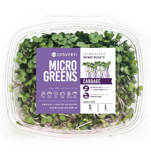 Cabbage Microgreens