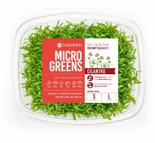 Cilantro Microgreens