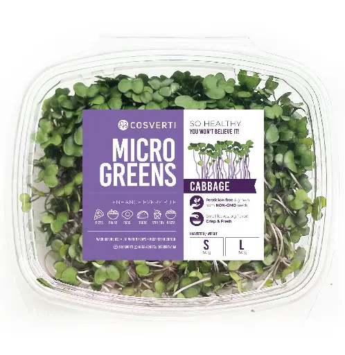 Microgreens de repollo